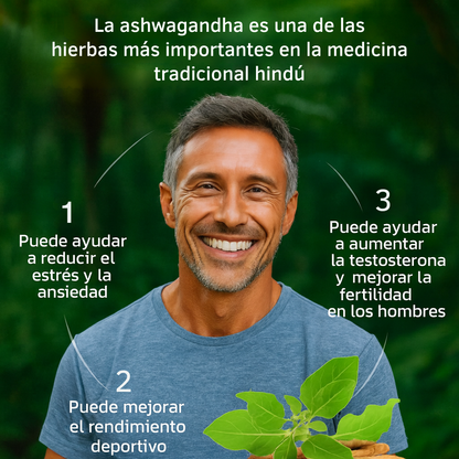 Ashwagandha 500Mg - 30 Capsulas Naturales